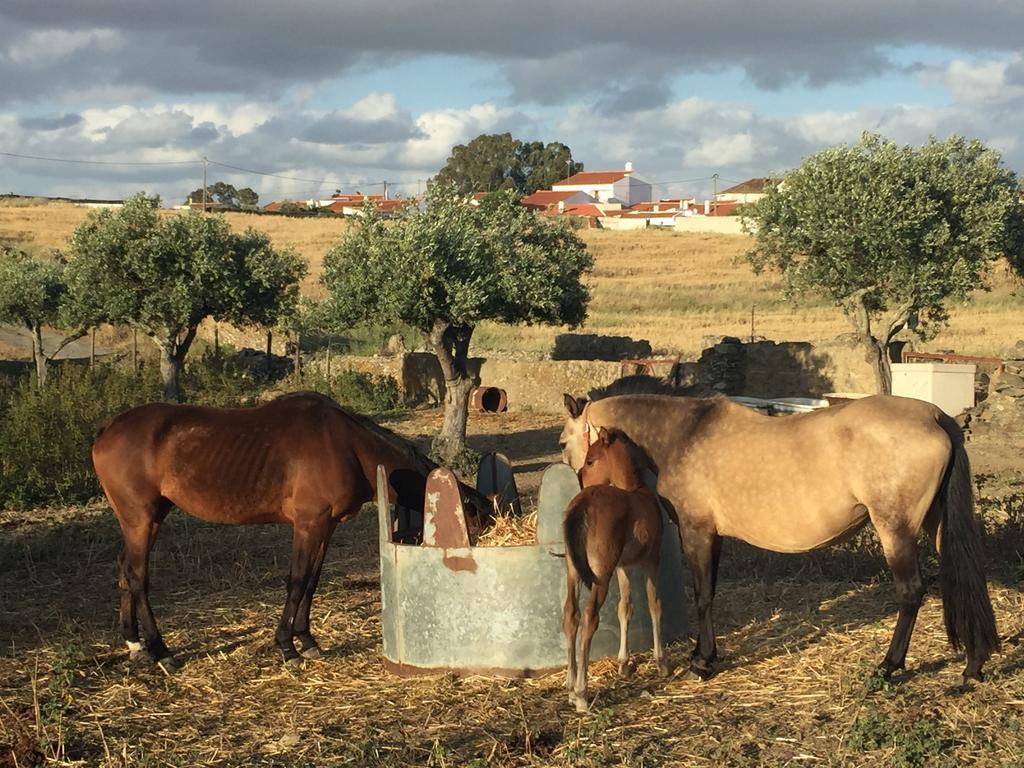 Abetarda Cc Villa São Marcos da Ataboeira Kültér fotó